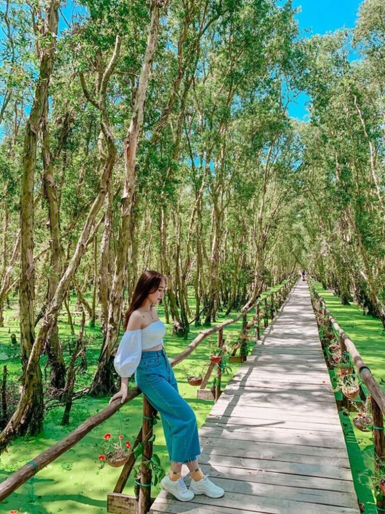 Vẻ đẹp nao lòng của rừng tràm Trà Sư mùa nước nổi